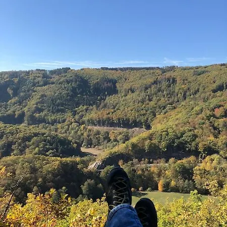 Buchfink 118qm Naehe Koblenz Und Montabaur * Gackenbach