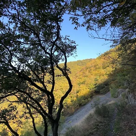 Apartment Buchfink 118qm Naehe Koblenz Und Montabaur