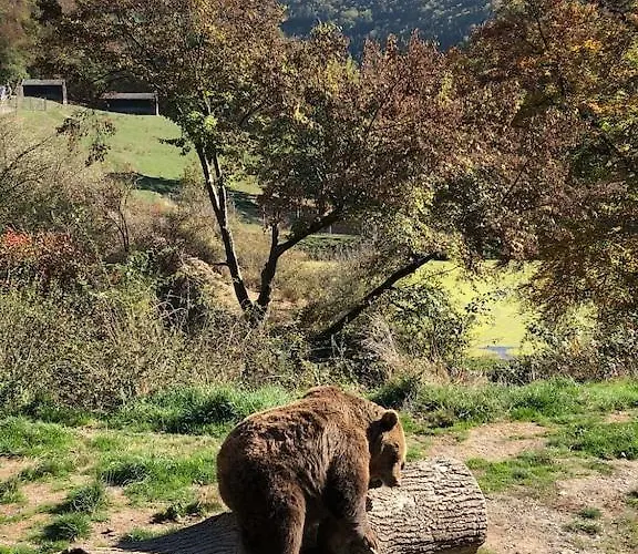 Buchfink 118qm Naehe Koblenz Und Montabaur * Gackenbach