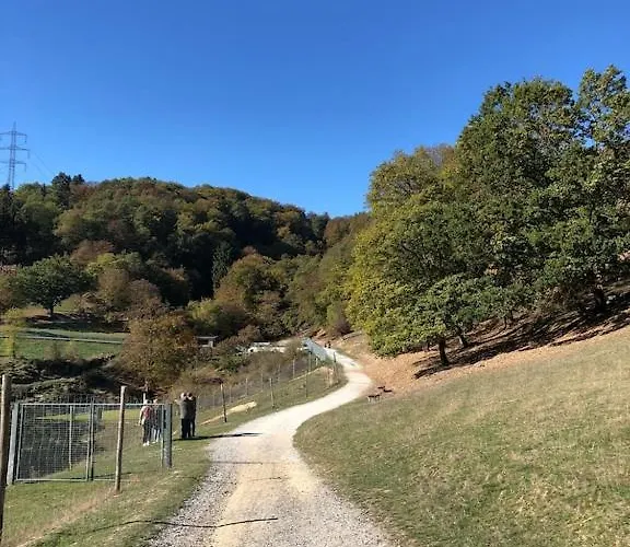 Buchfink 118qm Naehe Koblenz Und Montabaur Apartment