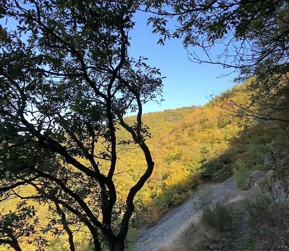 Apartment Buchfink 118qm Naehe Koblenz Und Montabaur