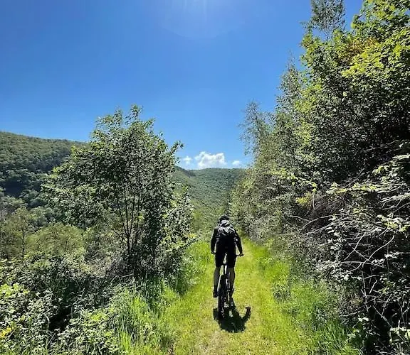 Buchfink 118qm Naehe Koblenz Und Montabaur